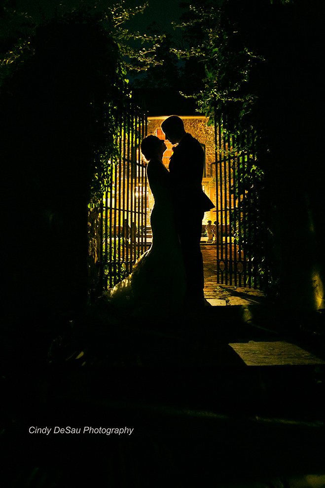 silhouette on the Holly Hedge courtyard