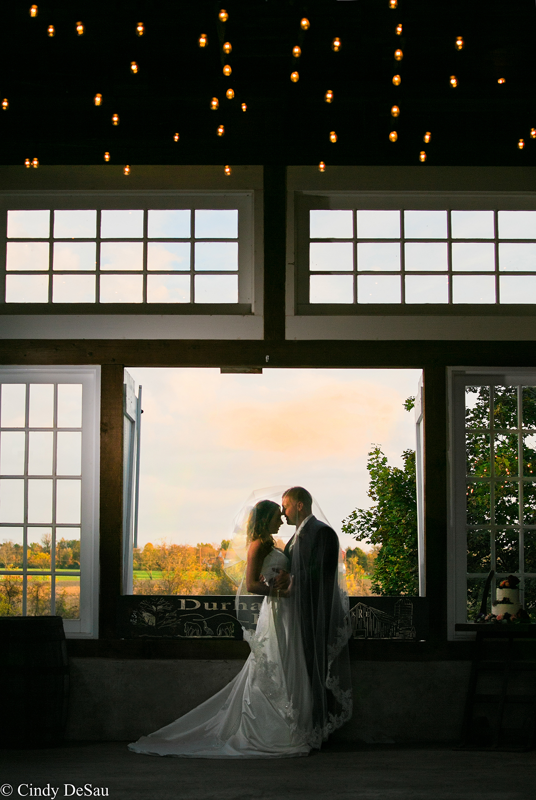 bride groom window