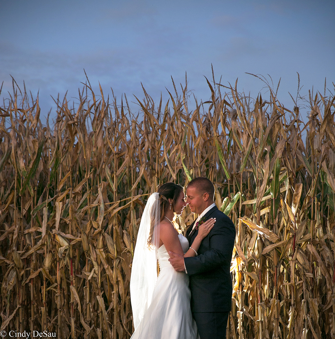 bride groom cornfield