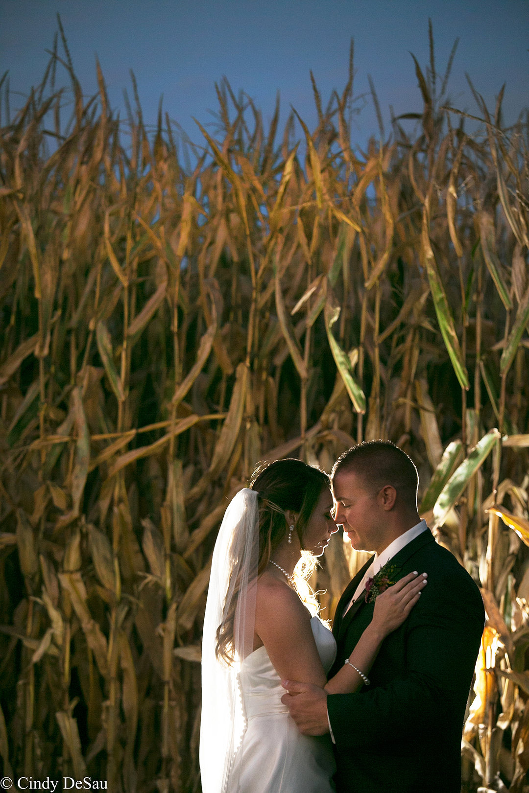 bride-groom-cornfield